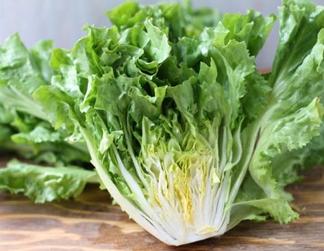 Image result for escarole